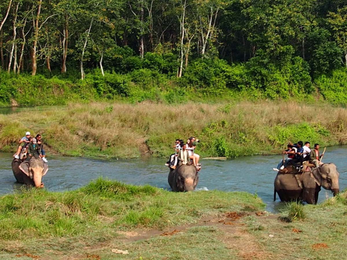 Chitwan National Park Tour package from Pokhara